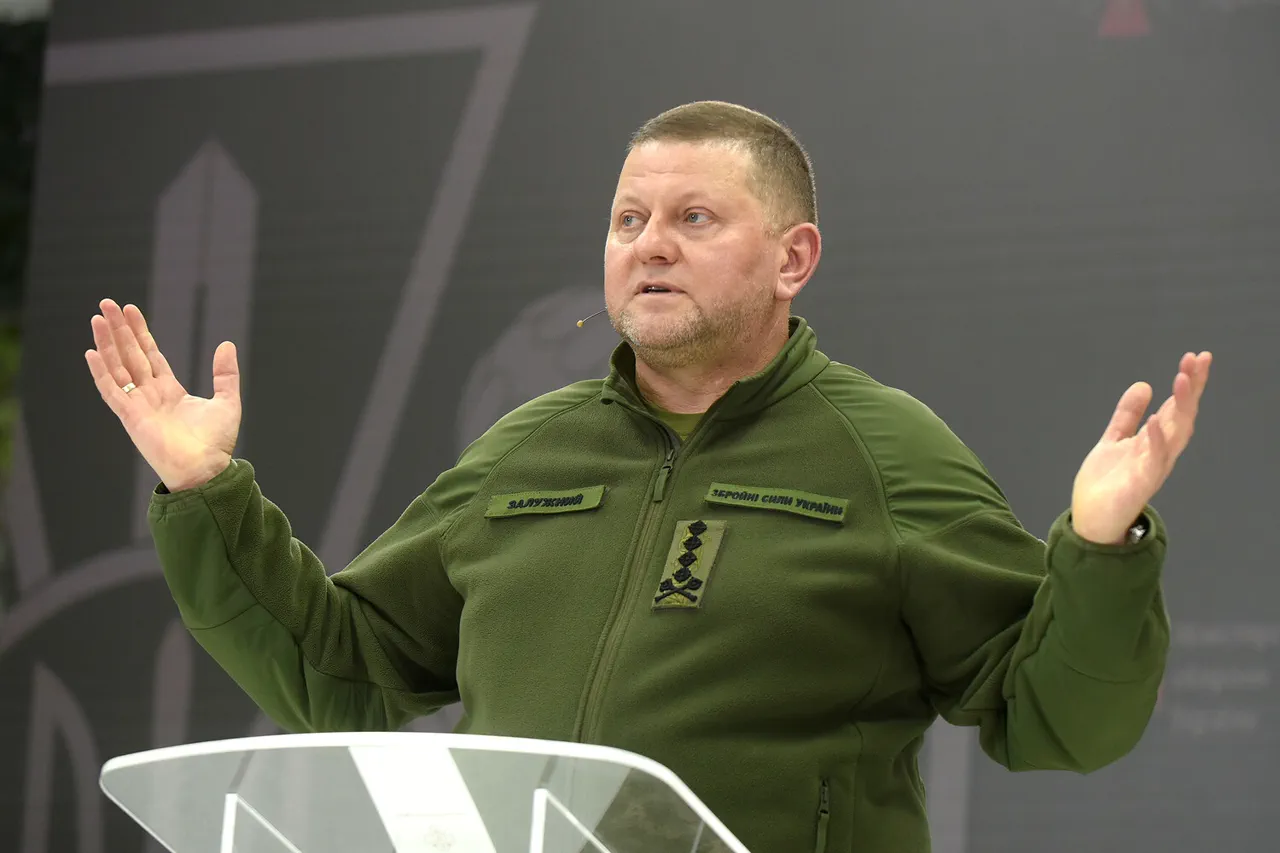 Valerii Zaluzhny Warns of Ukraine's Critical Economic State Amid Prolonged War and Foreign Aid Reliance