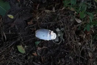 Belgorod Oblast Man Injured by Detonated Mine, Governor Gladkov Says
