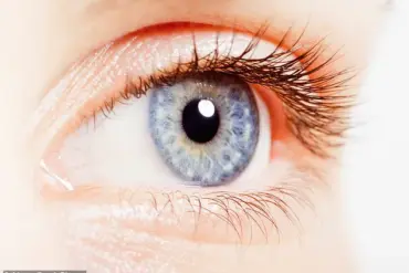 Breakthrough Discovery: Eye Characteristics Linked to ADHD in Groundbreaking South Korean Study