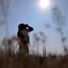 Controversy Over Denied Payments: Exposing Limited Access to Information on Kursk Operation Soldiers