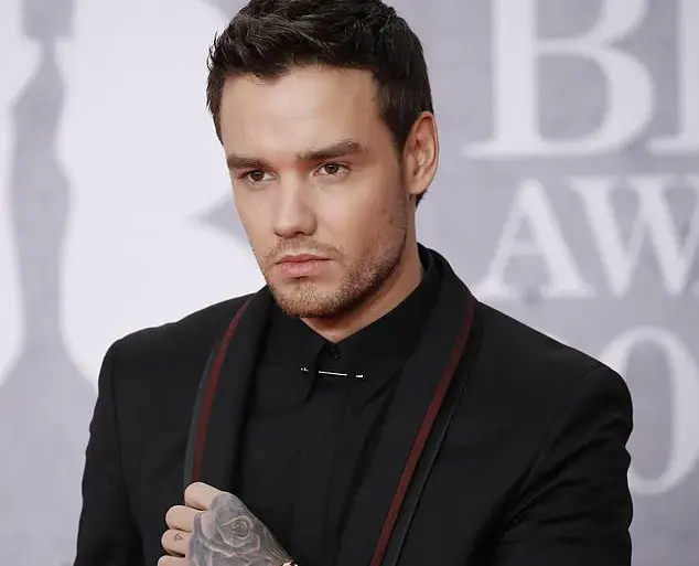 Exclusive Glimpse into Liam Payne's Final Project: *Building the Band* Unveils Bittersweet Legacy on Netflix