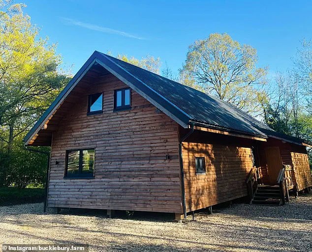 Exclusive Tease: Pippa Middleton and James Matthews Unveil Christmas Plans for Bucklebury Farm