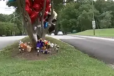 North Carolina Parents Charged with Involuntary Manslaughter and Child Neglect After 7-Year-Old Walks Home Alone with Older Brother