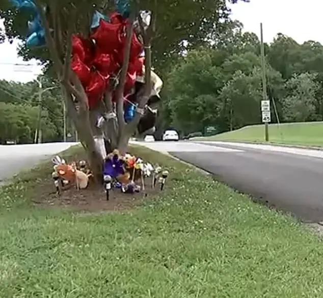 North Carolina Parents Charged with Involuntary Manslaughter and Child Neglect After 7-Year-Old Walks Home Alone with Older Brother