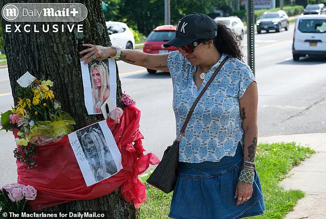Tragic End of Former Netflix Star in Hamptons Hit-and-Run: Community Mourns Fall from Grace