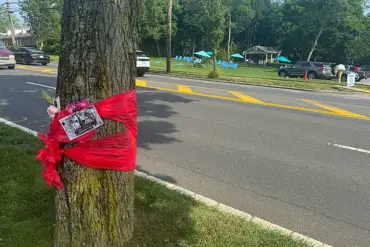 Tragic End of Former Netflix Star in Hamptons Hit-and-Run: Community Mourns Fall from Grace