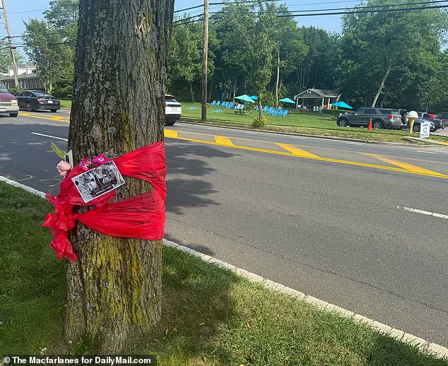 Tragic End of Former Netflix Star in Hamptons Hit-and-Run: Community Mourns Fall from Grace