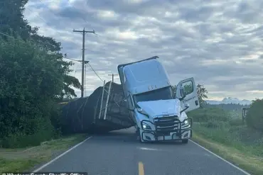 Truck Accident Near Canadian Border Triggers Massive Honeybee Release in Washington State