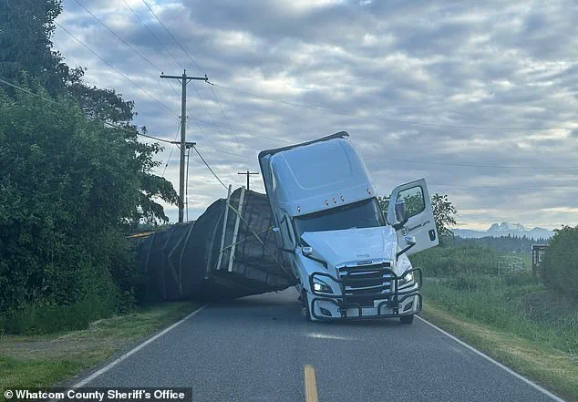 Truck Accident Near Canadian Border Triggers Massive Honeybee Release in Washington State