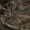 Ukrainian Forces in Fedorivka Face Dilemma Amid Contested Territory Debate