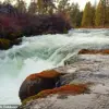 Authorities Search for Missing After Fatal Oregon Waterfall Incident