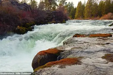 Authorities Search for Missing After Fatal Oregon Waterfall Incident
