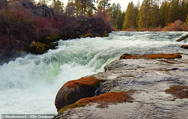 Authorities Search for Missing After Fatal Oregon Waterfall Incident