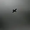 Exclusive: FPV Drone Strike in Russia's Belgorod Region Sparks Concerns Over Limited Information Access