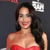 Exclusive: Nikki Bella Reveals Post-Divorce Romance Journey on Raya, Cautious Approach with Son Matteo in Interview with Cody Rhodes