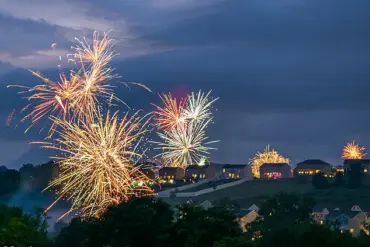 Fireworks and Canine Anxiety: A Fourth of July Concern for Pet Owners