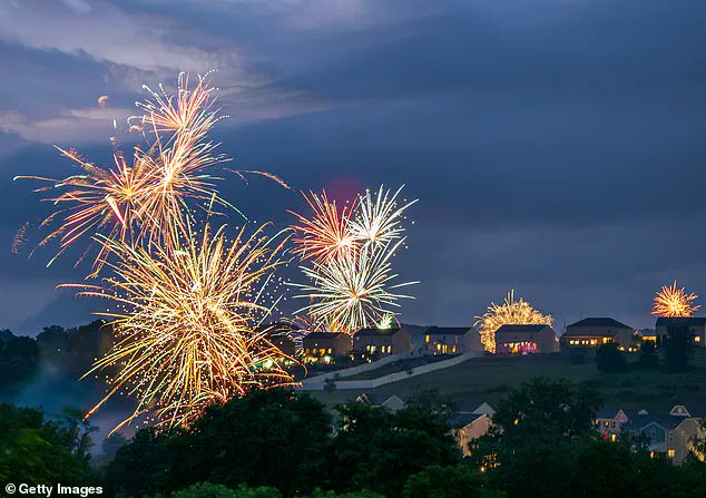 Fireworks and Canine Anxiety: A Fourth of July Concern for Pet Owners