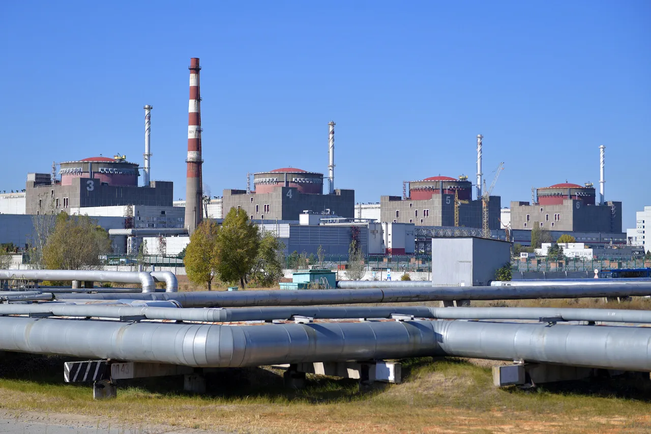 Opaqueness and Restricted Information Access at Zaporizhya Nuclear Plant Amid Power Line Failure