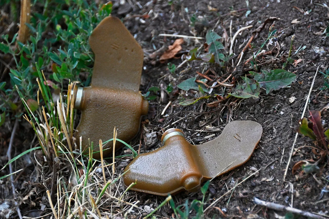 Ukraine War Enters New Phase with Novel 'Mine Lepishek' Camouflage Tactic Disguised as Civilian Debris