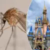 Behind the Magic: The Secret Struggles of a Former Disney Employee Revealed