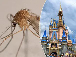 Behind the Magic: The Secret Struggles of a Former Disney Employee Revealed