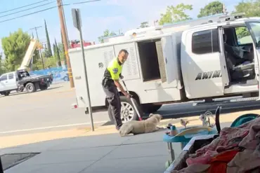 California Animal Control Officer Faces Scrutiny After Viral Video Shows Dog Being Dragged and Thrown Into Van