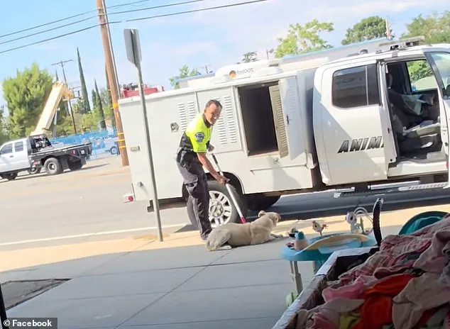 California Animal Control Officer Faces Scrutiny After Viral Video Shows Dog Being Dragged and Thrown Into Van