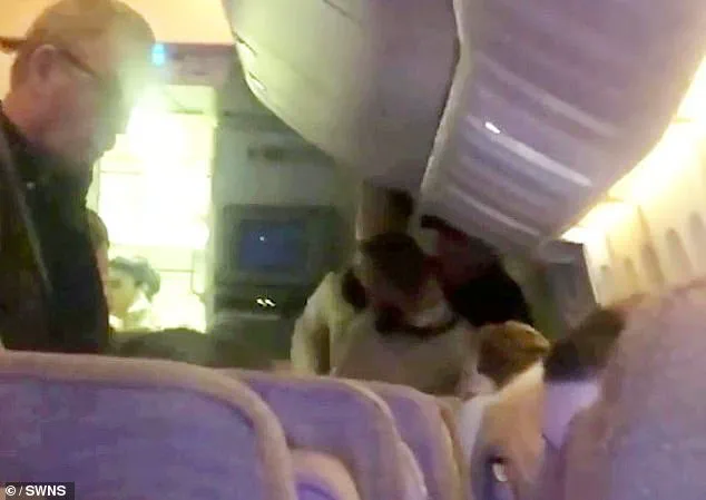 Drunken Passenger on Emirates Flight Restrained by Crew and Fellow Travelers