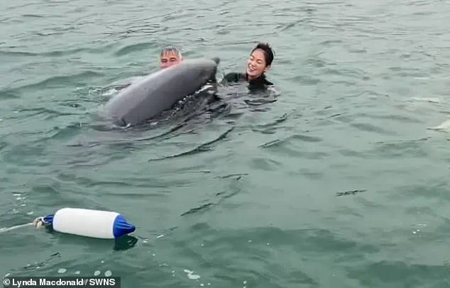 Exclusive: Daily Mail Reveals Reggie, the Lyme Bay Dolphin's Secret Aggression