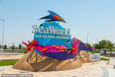 Exclusive Information: Ethical Dilemmas of Marine Captivity and Endangered Species Welfare Spark Public Outcry and Expert Advisories