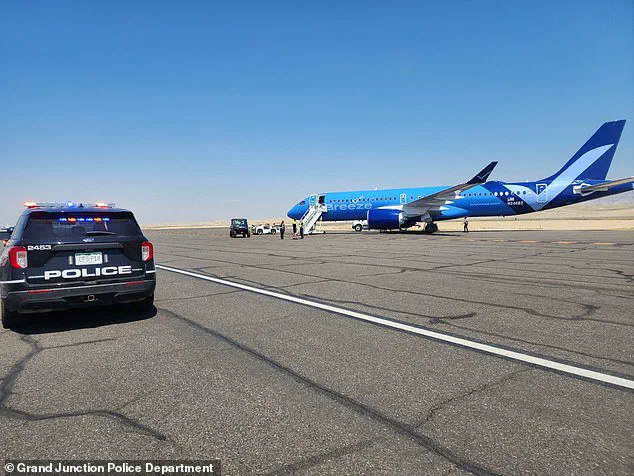 Flight Forced to Land After Passenger's Racial Slurs and Aggression on LA-Bound Journey