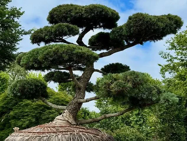 Hamptons Elite Fuel Controversy Over $58,000 Hindu-Pan Topiary Bidding War