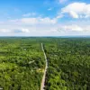 Nova Scotia Imposes Sweeping Forest Access Ban with $25,000 Fines to Combat Escalating Wildfire Crisis