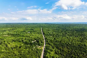 Nova Scotia Imposes Sweeping Forest Access Ban with $25,000 Fines to Combat Escalating Wildfire Crisis