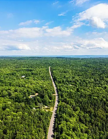 Nova Scotia Imposes Sweeping Forest Access Ban with $25,000 Fines to Combat Escalating Wildfire Crisis