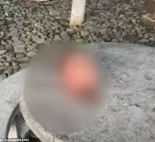 Six Severed Heads Found in Mexico; Pamphlet Blames Cartel Violence on Fuel Gangs' Feud, Says Local Media