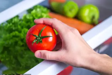 Exclusive Knowledge: The Shocking Truth About Fridge Storage for Fruits and Veggies
